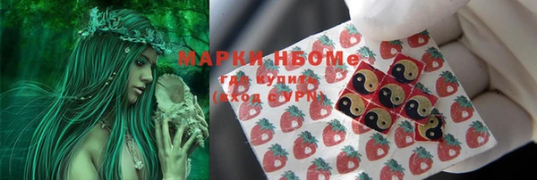 ГАЛЛЮЦИНОГЕННЫЕ ГРИБЫ Алексин